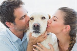 Pets and Divorce: Who Gets the Family Dog or Cat? 